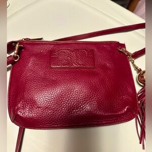 Tory Burch Cherry Crossbody Bag with Gold Accents